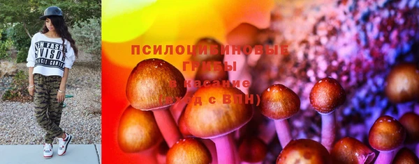 прущий лед Алзамай