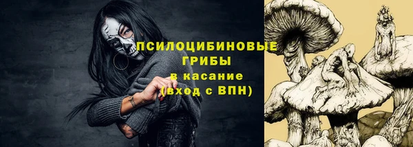 дмт Алексин