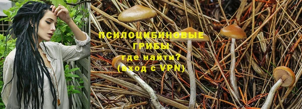 прущий лед Алзамай