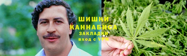 прущий лед Алзамай