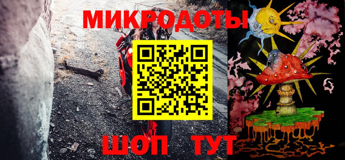 Псилоцибиновые грибы Psilocybe Находка