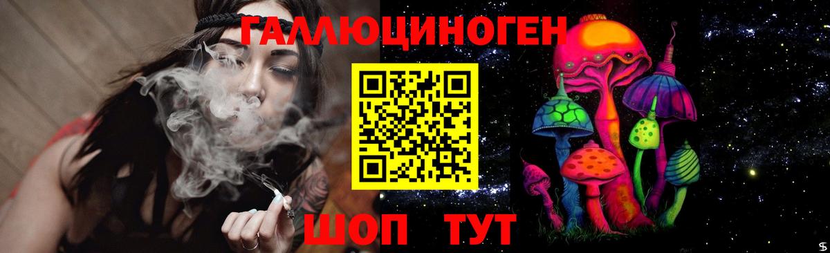 Галлюциногенные грибы GOLDEN TEACHER  Псилоцибиновые грибы мухоморы  Вход с VPN  Находка 