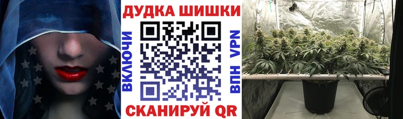 Конопля планчик  Находка 